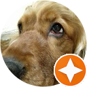 ChIJecLOfHX7RQ0RZkcXp20iV6k a436b141dd66b7ce6790f70b40aa3adf